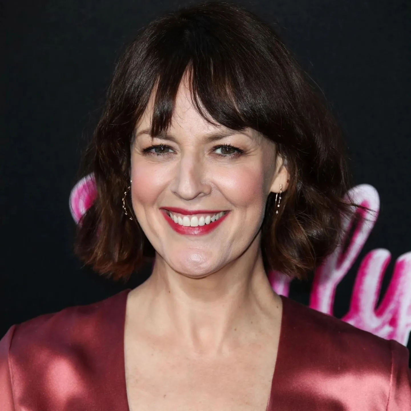 Rosemarie DeWitt Net Worth